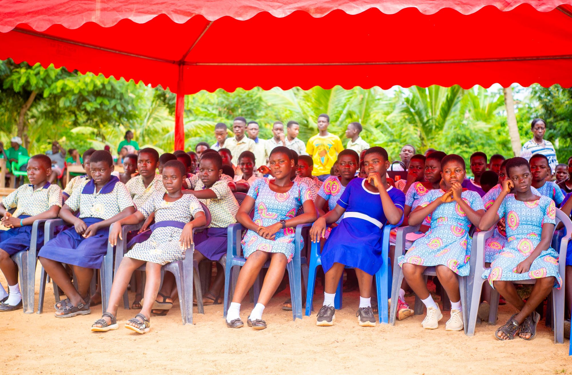 AdoWa article pix